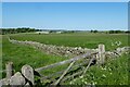 Gate and wall west of Timble