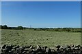 Field north of Wydra Lane