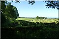 Field near Red Barn Farm