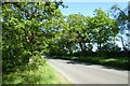 Road near The Bungalow