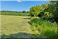 Hay field by Dark Lane