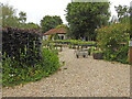 Blackberry Farm Nursery near Dereham