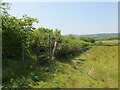 Llwybr i Bontwalby /Path to Pontwalby