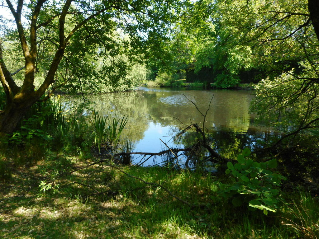 Belmont Pond, Springburn Park © Richard Sutcliffe :: Geograph Britain ...