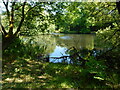 Belmont Pond, Springburn Park