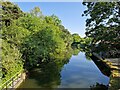 The canal on a glorious summer afternoon