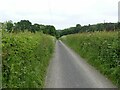 The lane to Ramsdale Cottage