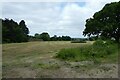 Field south of Bilton Lane