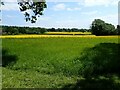 View from the Vanguard Way north of Edenbridge