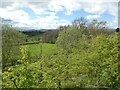 The valley of the Nant y Prophwyd