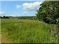 Field north of Craigton Road