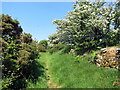 Llwybr ceffyl i Gefn Llechid / Bridleway to Cefn Llechid