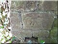 Ordnance Survey Cut Mark