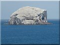 NT6087 : Bass Rock by Oliver Dixon