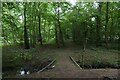 Bridge over a stream