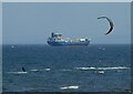 NT2889 : Kite surfer and ship by Richard Sutcliffe