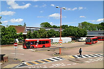 TQ4274 : Eltham Bus Station by N Chadwick