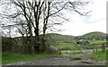 Farm track and view of Wye valley