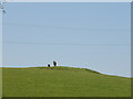 Heston Brake long barrow