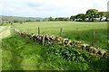 Farmland beside Dog Lane