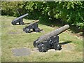 NT0879 : Cannons in the grounds of Hopetoun House by Oliver Dixon