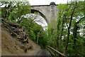 The Weardale Way passing beneath Victoria Viaduct