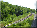 Dean Forest Railway south of Norchard