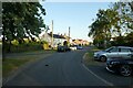 Hedgehog crossing the road