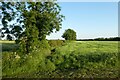 Field south of Keldspring Lane