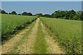 Bridleway to Roos Hill