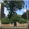 Gate to a disused Jewish Cemetery