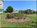 Rose garden, Royal Hospital for Neuro-Disability