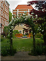 Temple : garden, Middle Temple