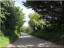 SP3573 : Lane near Baginton by Nigel Mykura