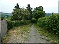 Old field path