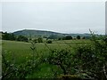 Outlook from an old sunken way between fields