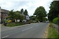 Houses on Estcourt Road