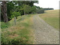 Track along the east side of Linglie Glen