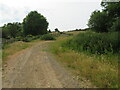 Farm track at Ovenscloss