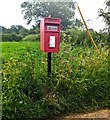 Queen Elizabeth II postbox on grass, Welsh Newton, Herefordshire