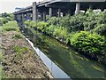 River Tame by Spaghetti Junction