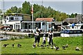 Horning: Feeding the Pink-footed geese 