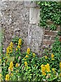 Old Boundary Marker on Mews Lane, Winchester