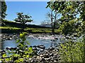 SD6391 : The River Rawthey at Brigflatts by Graham Hogg