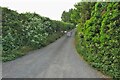 Hedges and guard dogs up the drive to Black Peak Farm