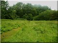 Footpath in Toad Holes Beck Nature Reserve, North Bierley