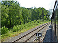 Unusual pylon by Dean Forest Railway