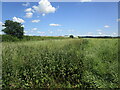 Boothby Graffoe Low Fields