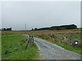 SN6268 : Track across moor to Bwlch y Geuffordd by David Smith