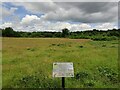 SO8074 : Acidic meadows and Lowland heath by Mat Fascione